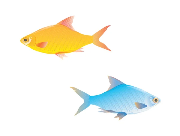 Желтая Синяя Рыба Векторная Конструкция — стоковый вектор