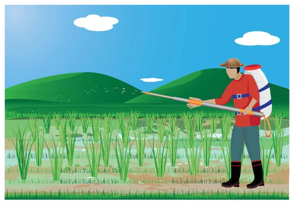 Asijský Zemědělec Pěstující Rýži Vektorový Design — Stockový vektor