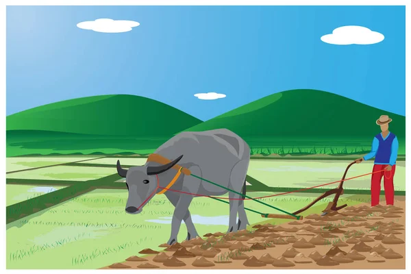 Jordbrukare Plog Paddy Fält Vektor Desing — Stock vektor