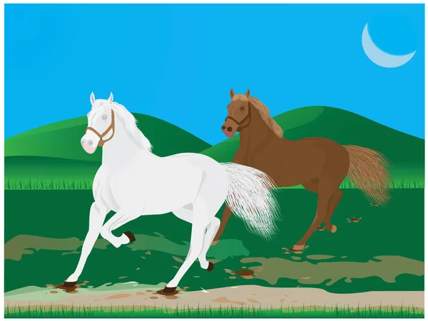 Brązowe Białe Konie Świeżym Powietrzu Projekt Wektora — Wektor stockowy