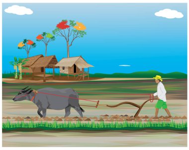 Kırsal alanda çalışan çiftçiler