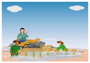 Kırsal alanda çalışan çiftçiler