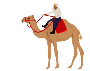 Sahra Çölü renk vektör illüstrasyonunda deve