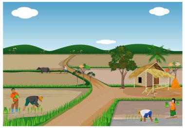 Kırsal alanda çalışan çiftçiler