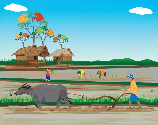 Ilustração Colorida Agricultor Usando Touro Para Trabalhos Campo —  Vetores de Stock