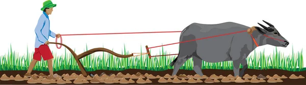 Färg Illustration Jordbrukare Som Använder Tjur För Fältarbeten — Stock vektor