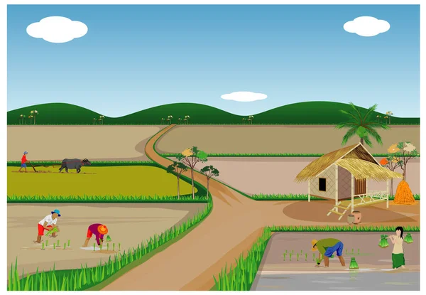 Agricultores Que Trabalham Campo Rural —  Vetores de Stock