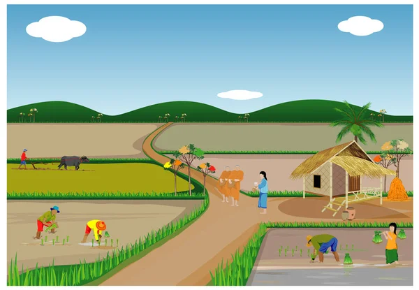 Фермеры Работающие Сельской Местности — стоковый вектор