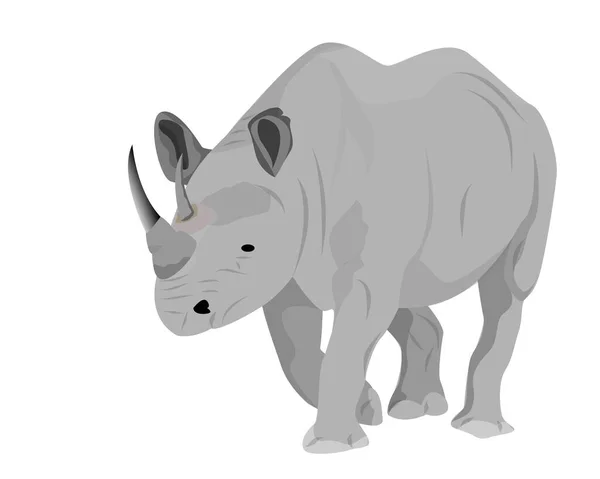 Vector Illustration Cute Rino — Stock Vector