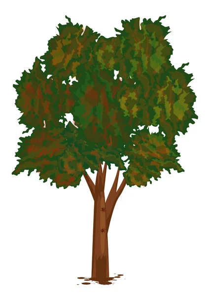 Χρώμα Διανύσματος Δέντρου Λευκό Φόντο — Διανυσματικό Αρχείο