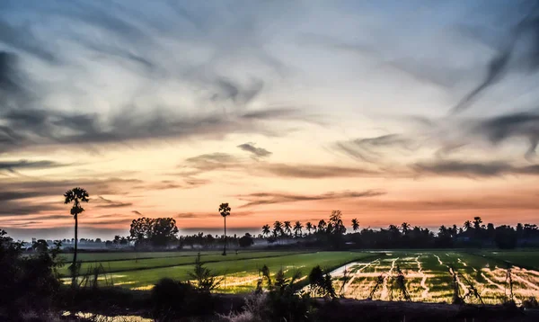 Akşamları, kırsal Tayland pirinç alan.