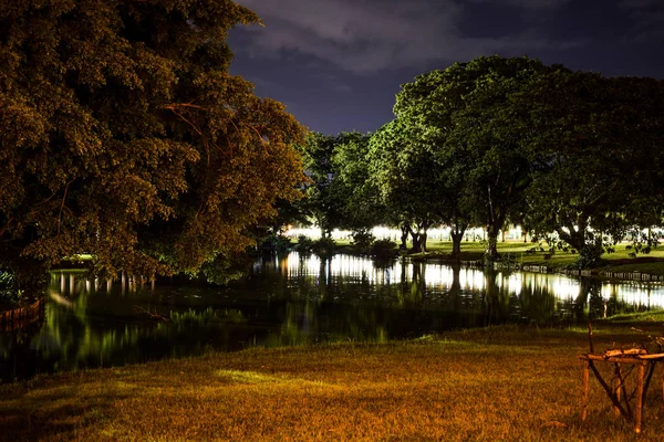 Gece ağacında Halk Parkı