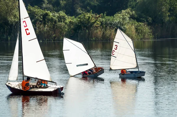 Segelregatta Der Jungen Segler Auf Dem Fluss — Stockfoto