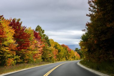 Sonbaharda yapraklar mevsiminde doğal dolaşık yol