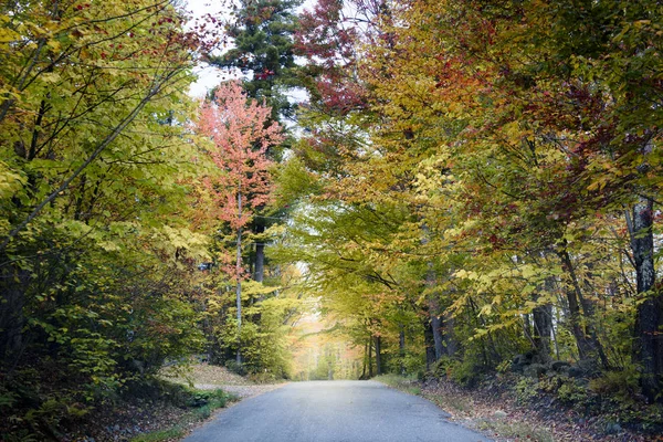 Backroad in new england at fall
