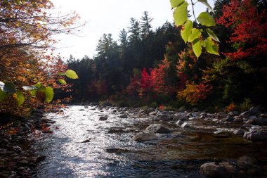 Hızlı nehir kancamagus karayolu boyunca