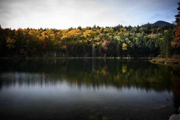 秋の紅葉の中に池を滝します — ストック写真