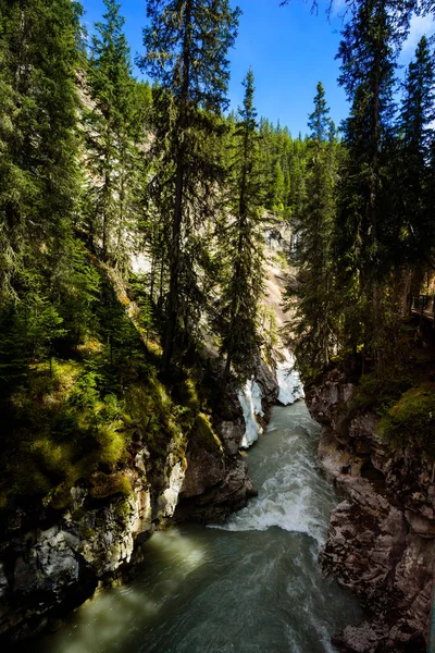 Johnston cañón en Banff parque nacional, Alberta, Canda — Foto de Stock