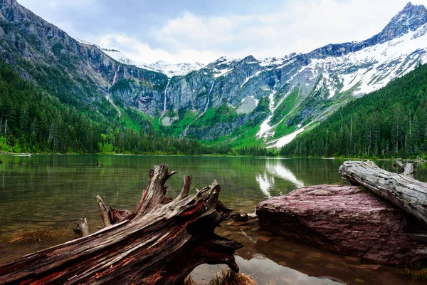 Logs na costa do Lago Avalanche no parque nacional Glacier — Fotografia de Stock