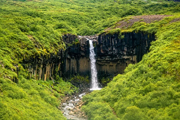 Cachoeira svartifoss no parque nacional skaftafell — Fotografia de Stock