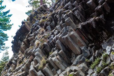 Şeytanın post bazaltik organı detayları