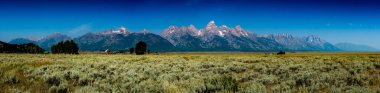 Grand Teton aralığının panoramik görüntüsü