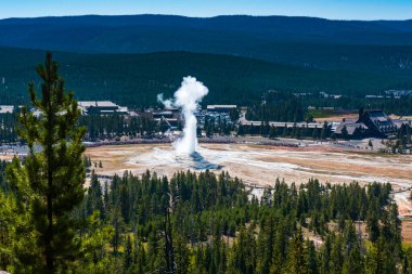 Eski sadık gayzer gözlem noktasından görüldüğü gibi