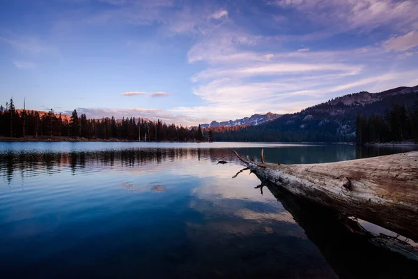 Log Shore Horseshoe Lake Mammoth Mountains Area — Foto Stock