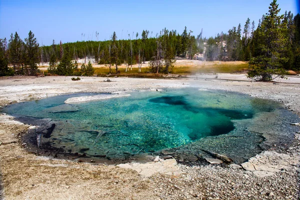 Crater Hot Spring Norris Bassin Area — Stock Photo, Image