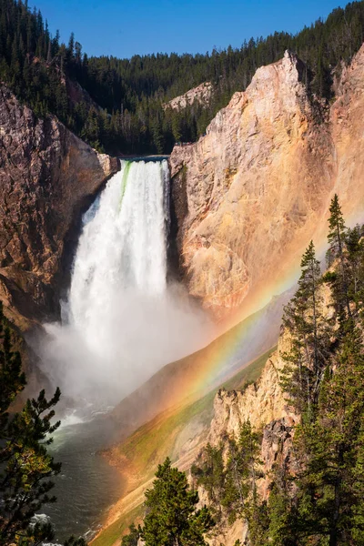 Yellowstone Lägre Fall Och Regnbåge — Stockfoto