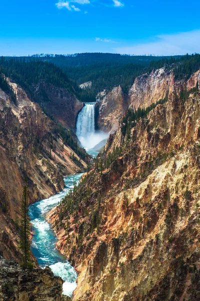 Yellowstone Lower Falls Seen Artist Point — Stock Photo, Image