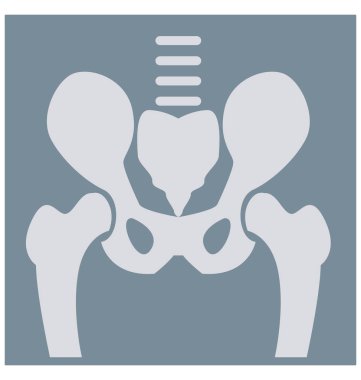 İnsan kaburgaları renk izole vektör simgesi tamamen düzenlenebilir