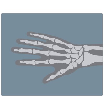 X ışını renk izole vektör simgesi tamamen düzenlenebilir