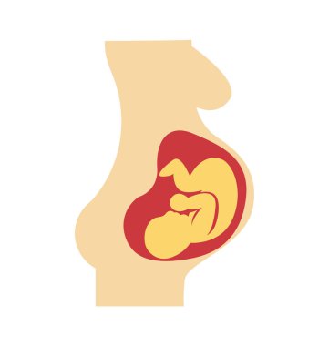 Fetus renk renk izole vektör simgesi tamamen düzenlenebilir 