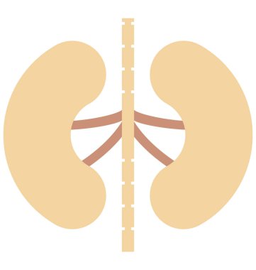 Böbrekler renk izole vektör simgesi tamamen düzenlenebilir