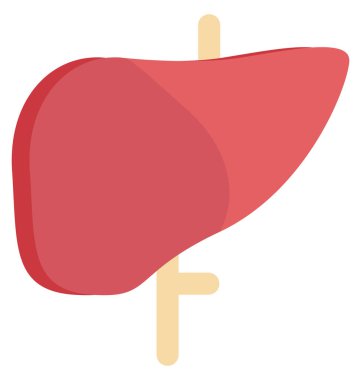 Akciğerler renk izole vektör simgesi tamamen düzenlenebilir