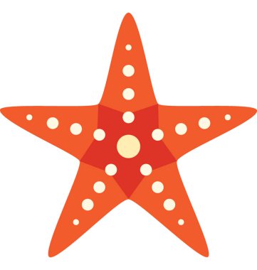 Deniz yıldızı vektör izole illüstrasyon simge renk