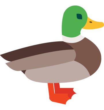 Ördek vektör izole illüstrasyon simge renk