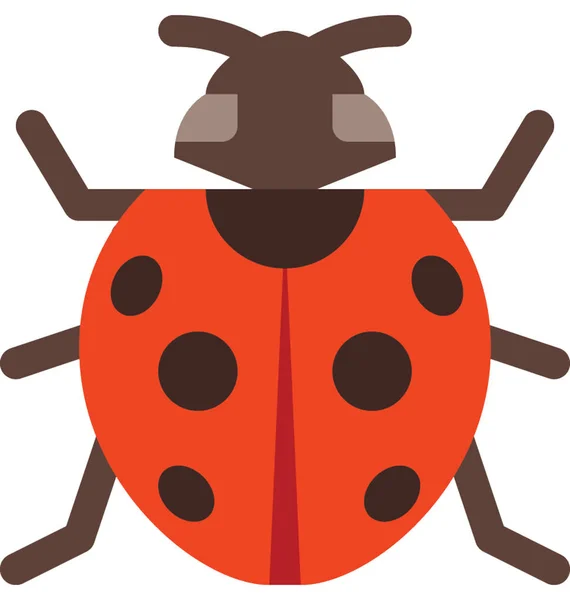 Ladybird Color Vector Isolated Illustration Icon — Stock Vector