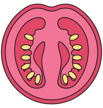 Renk vektör çizim Isolated tamamen düzenlenebilir renkli domates