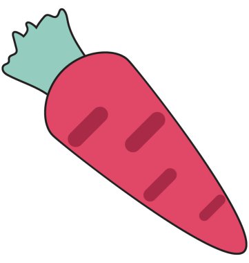 Havuç renk vektör illüstrasyon izole tamamen düzenlenebilir