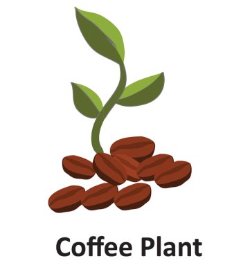 Kahve bitki izole vektör simge düzenlenebilir 