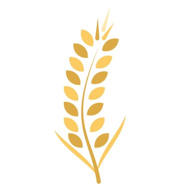 Buğday kulak vektör simge düzenlenebilir