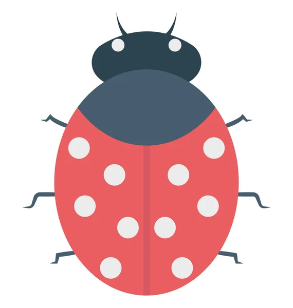 Bug Απομονωμένες Διάνυσμα Εικονίδιο Επεξεργάσιμο — Διανυσματικό Αρχείο