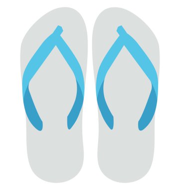 Flip floplar izole vektör simgesi