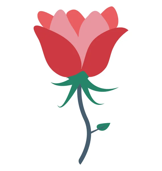 Tulipe Fleur Icône Vectorielle — Image vectorielle