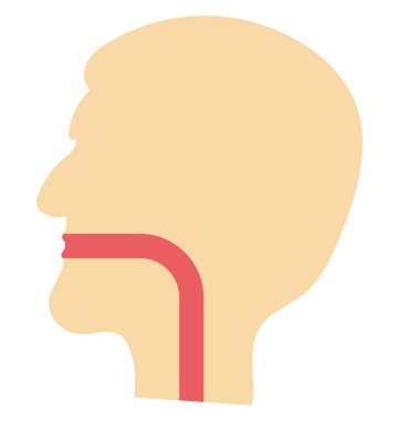 yemek borusu, gırtlak, kolayca değiştirilebilir veya düzenlediğiniz izole vektör simgesi