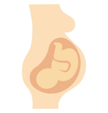 fetus, Bebek cenin, kolayca değiştirilebilir veya düzenlediğiniz izole vektör simgesi