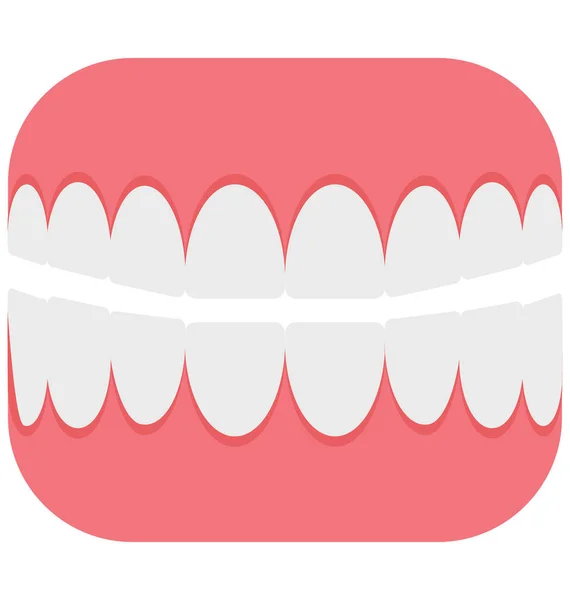 Molar Molar Teeth Isolated Vector Icon Can Easily Modified Edit — Stock Vector