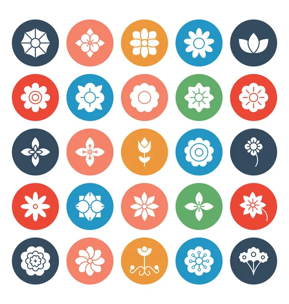Florals Flower Vector Iconos Conjunto Que Puede Modificar Editar Fácilmente — Vector de stock